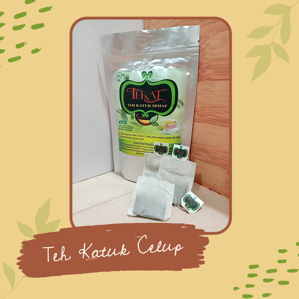 

Teh Celup Daun Katuk original Teh Herbal Kesehatan