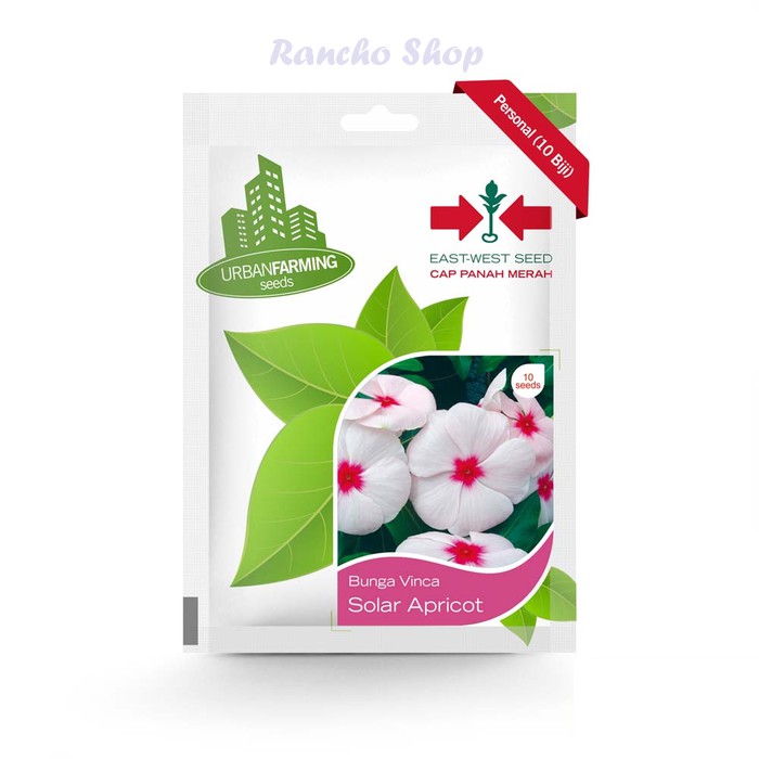 Benih Bunga Vinca Solar Fresh Apricot Panah Merah Isi 10 Biji