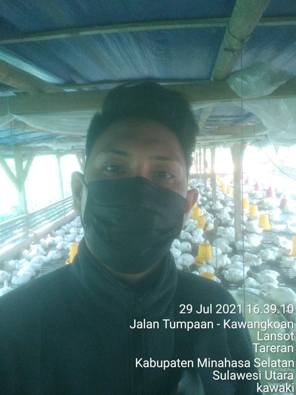 Bswart Batik Hrb026 Kenongo Hem Pendek Padi Pekalongan M L Xl Batik Pria Murah Modern Grosir