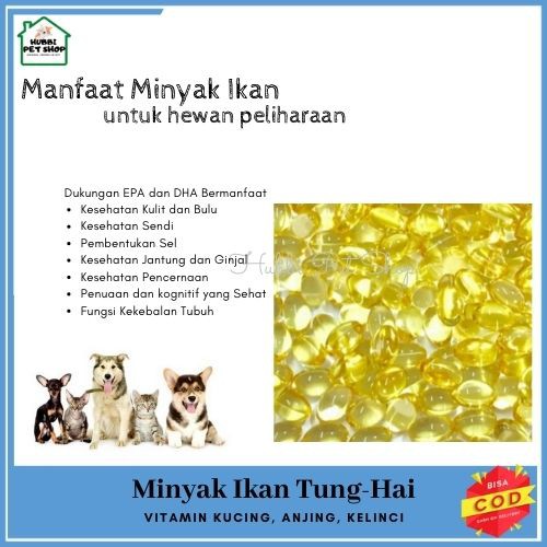 MINYAK IKAN TUNGHAI | Fish Liver Oil | Tung-Hai | 500 Capsules Tung hay Minyak Ikan