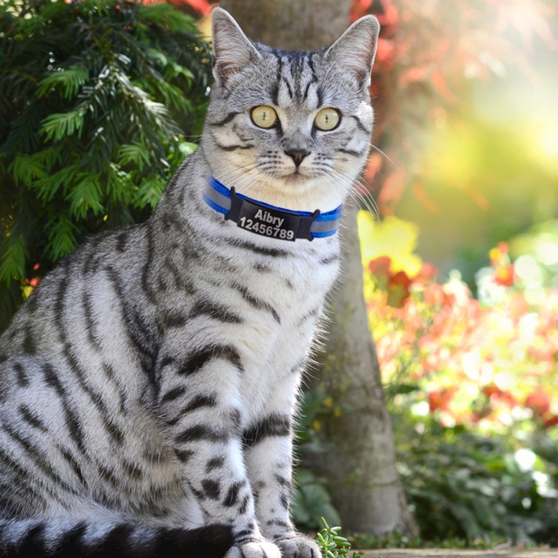 Kalung Custom Nama Kucing Anjing gratis nama aksessoris hewan murah