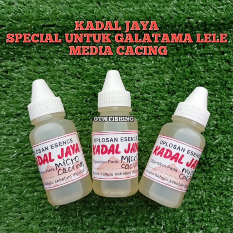 Essen Kadal Jaya Micro Cacing Special Galatama Lele