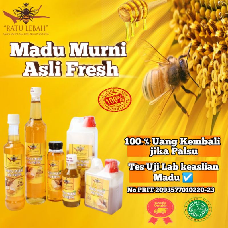 

MADU MURNI (APIS MALIEFERA) RATU LEBAH/LEBAH MADU/RATU LEBAH/MADU RAMBUTAN/MADU RANDU/MADU KOPI