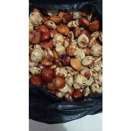

Jengkol kupas tua 1kg