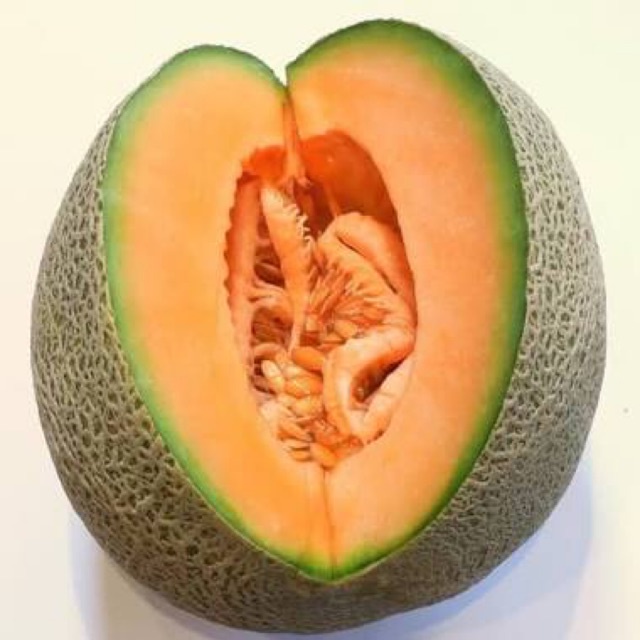 PROMO Benih melon orange terbaik dan pilihan 4 biji / bibit melon bangkok