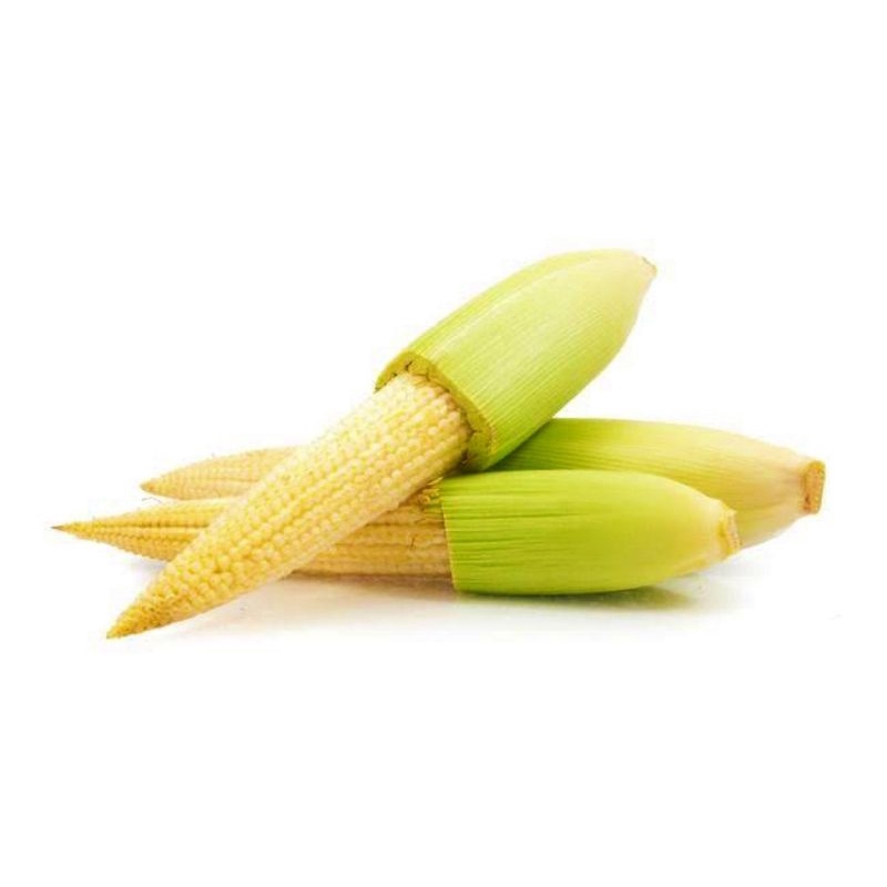 

Jagung Baby | Jagung Kecil | Jagung Capcay Segar 250 gr