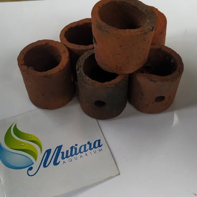 POT TANAMAN AIR AQUARIUM / AQUASCAPE