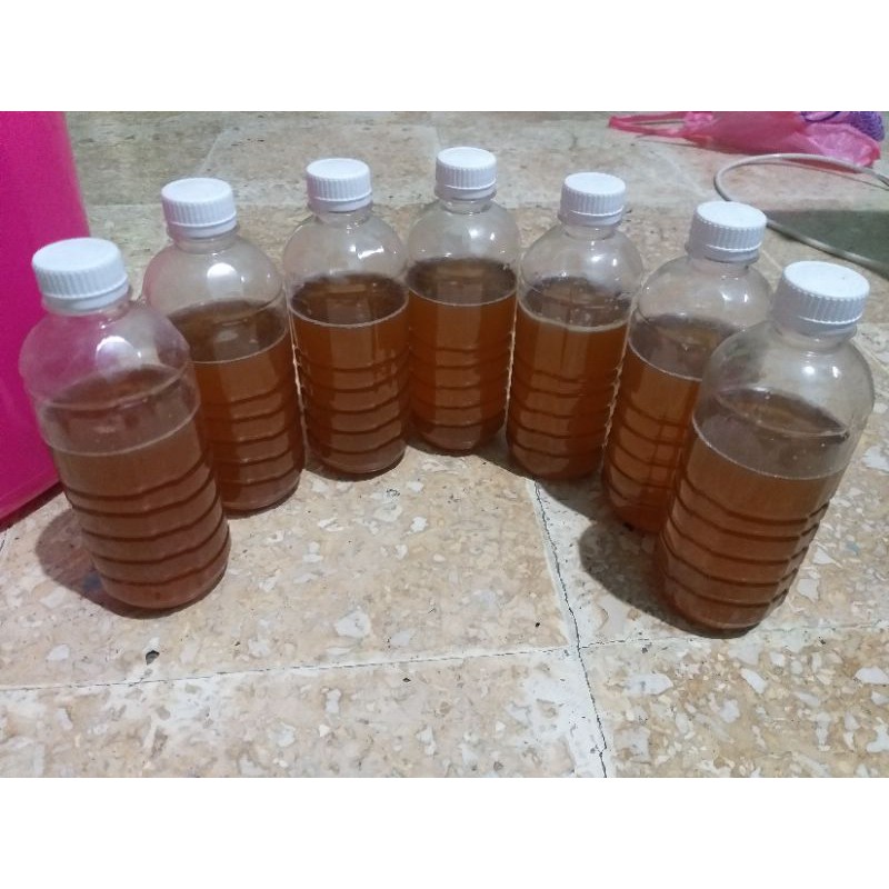 

MADU HUTAN ASLI ( MADU ALAMI DARI HUTAN )