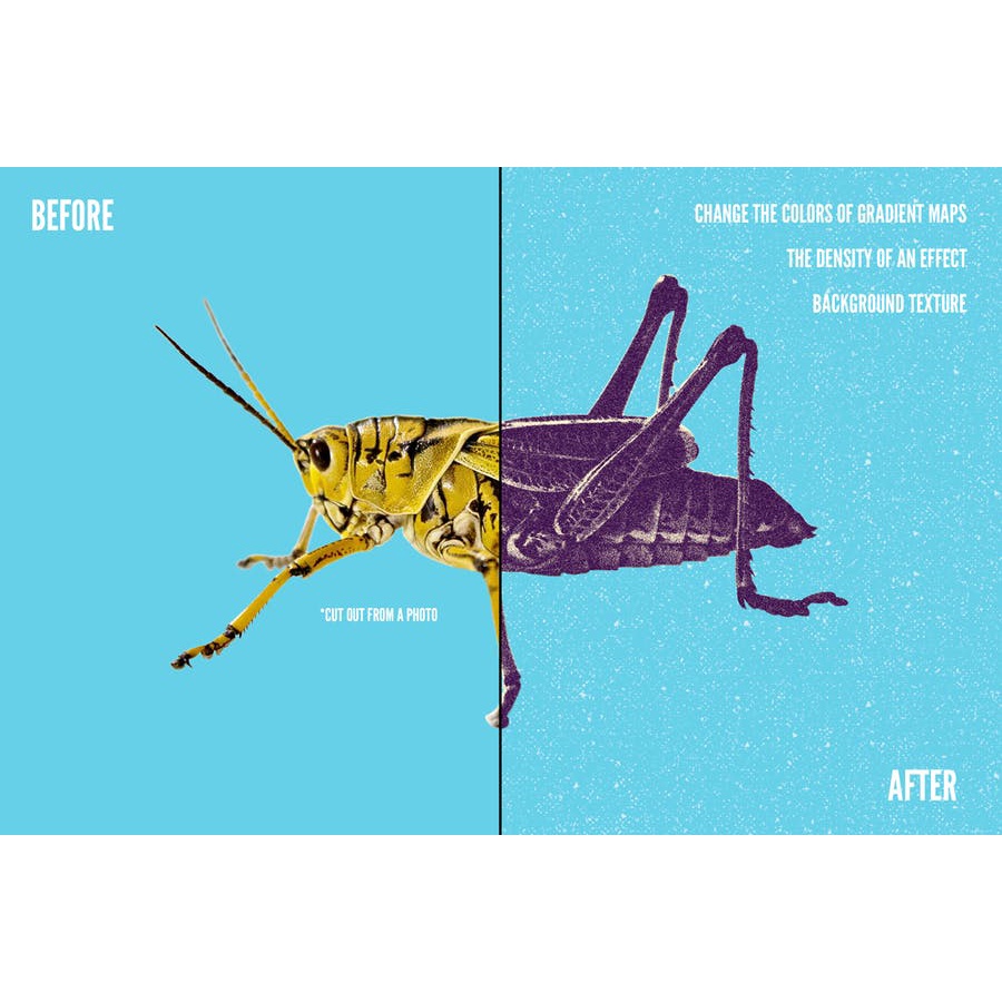 Alternative Printmaker