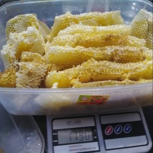 

Honey comb / madu sarang apis cerana