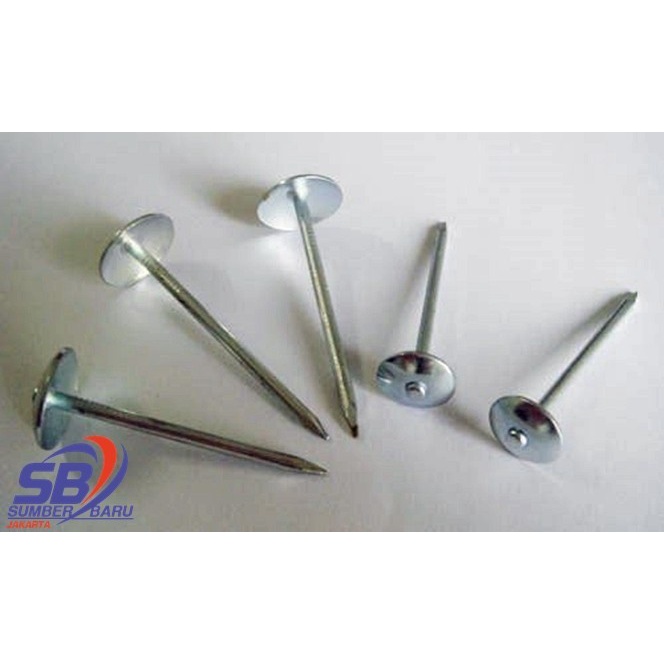 PAKU PAYUNG 5 CM / PAKU SENG CURAH 2 INCH PER KG SBJ
