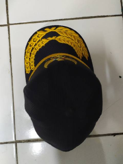 Topi garuda 2 ray