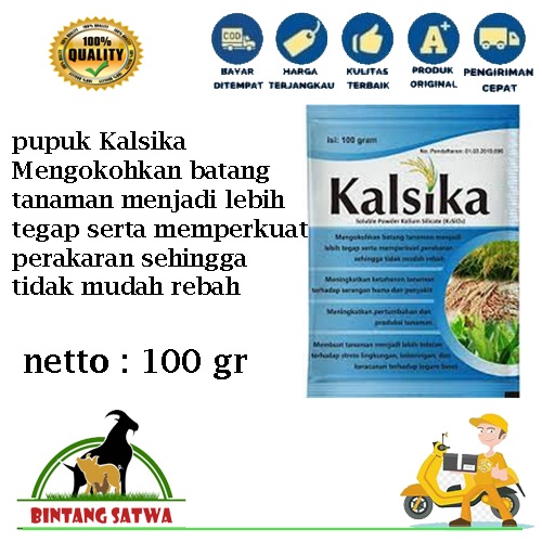 pupuk Kalsika 100 Gram Kalsium Silika Penguat Batang