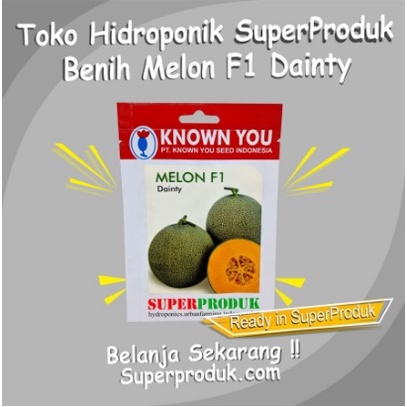 Benih Melon F1 Dainty - Known You Seed (6 seed)