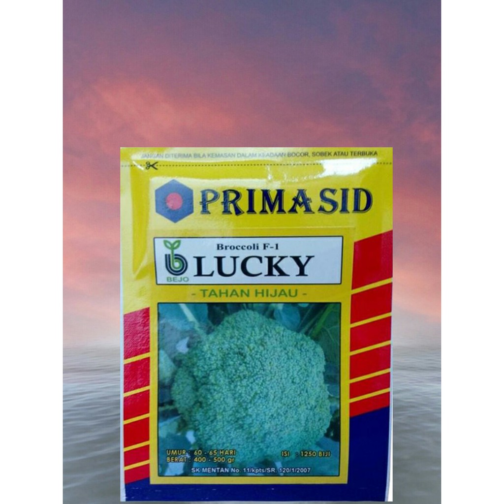 [Promo] Brokoli Lucky Bejo Benih Brokoli Obral