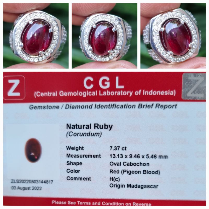 Natural Pigeon Blood Red Ruby Memo 7.37 crt
