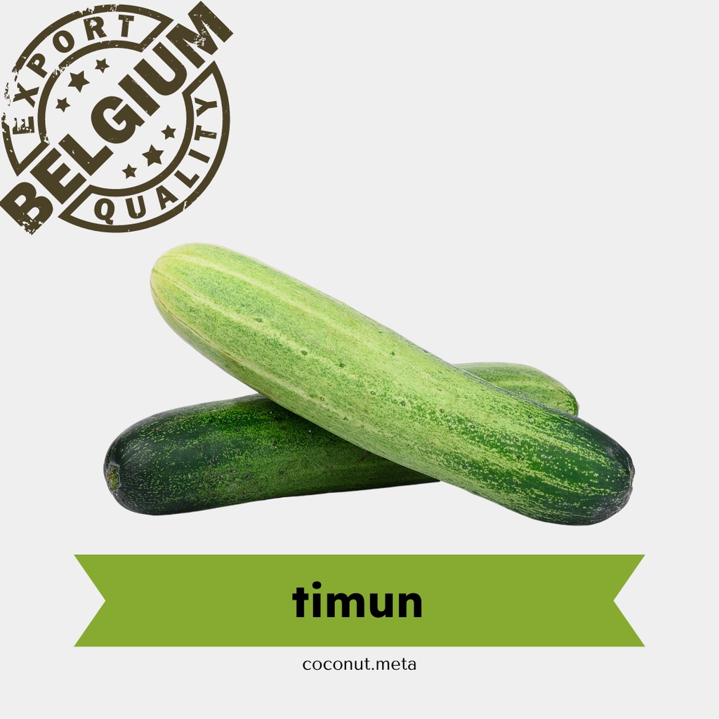 

Timun Segar 500gr / Cucumber by Coconut Meta