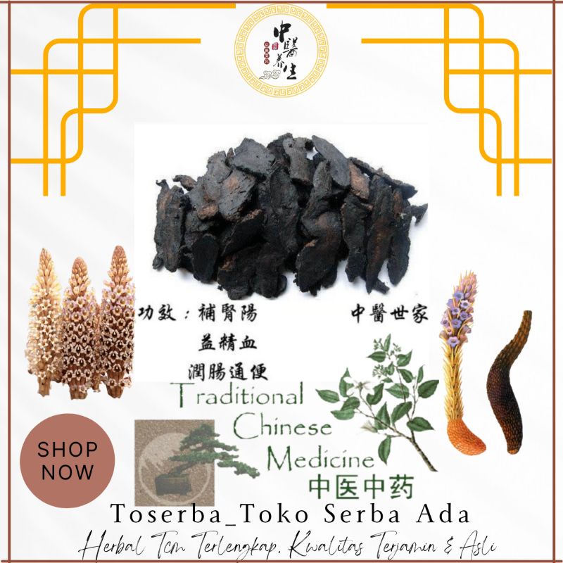 

50gr Herbal Rou Cong Rong 肉苁蓉 Cistanche Deserticola Grade A