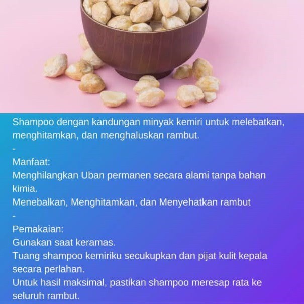 Kuntze Minyak Kemiri Penumbuh Rambut Penghitam Rambut Minyak Kemiri Kuntze Penghilang Uban Paling Ampuh