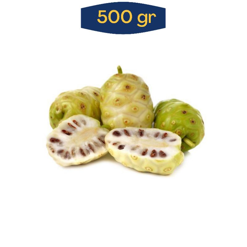 

Mengkudu Pace Segar Langsung Petik Pohon Bahan Ramuan Herbal