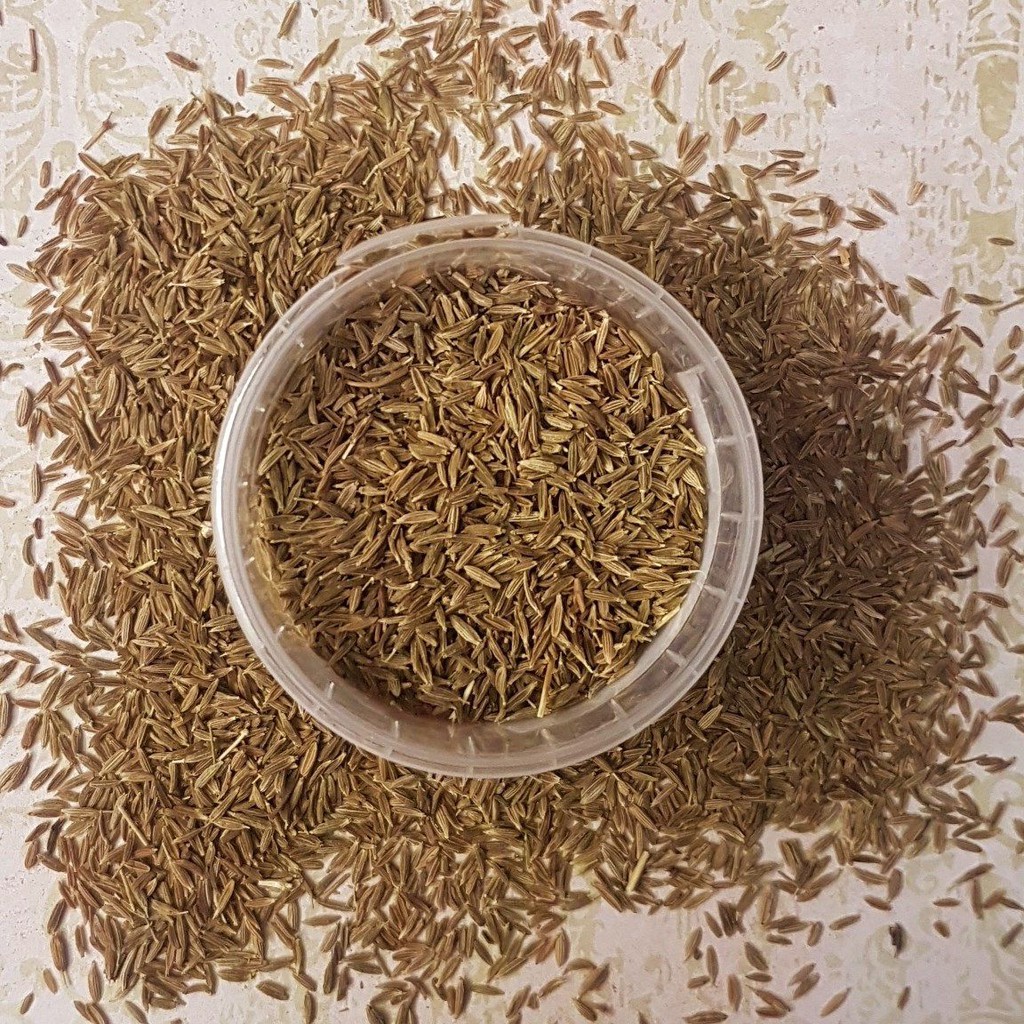 

Biji Jintan Putih Asli 500g Kaya Serat & Anti Bakteri Caraway Cumin Seed From Kamal Indo