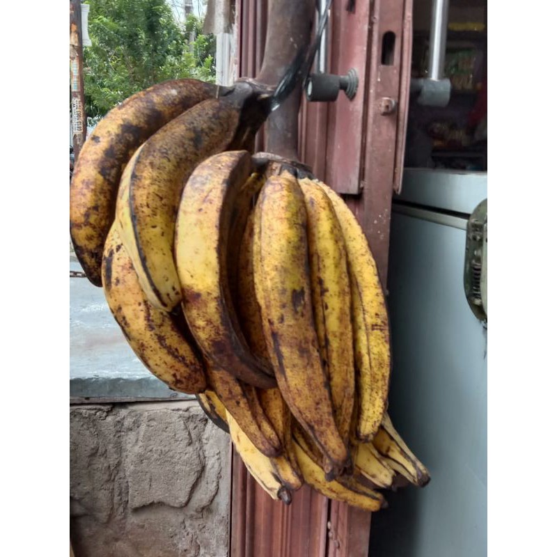 Pisang Tanduk 1 Biji/Buah 5.000