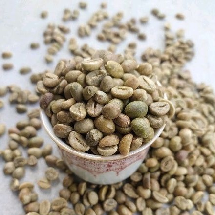 

Greenbean Robusta Temanggung Natural Petik Merah Komersil