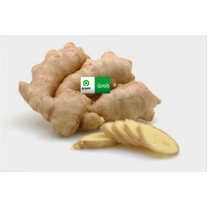 

temu mangga segar alami