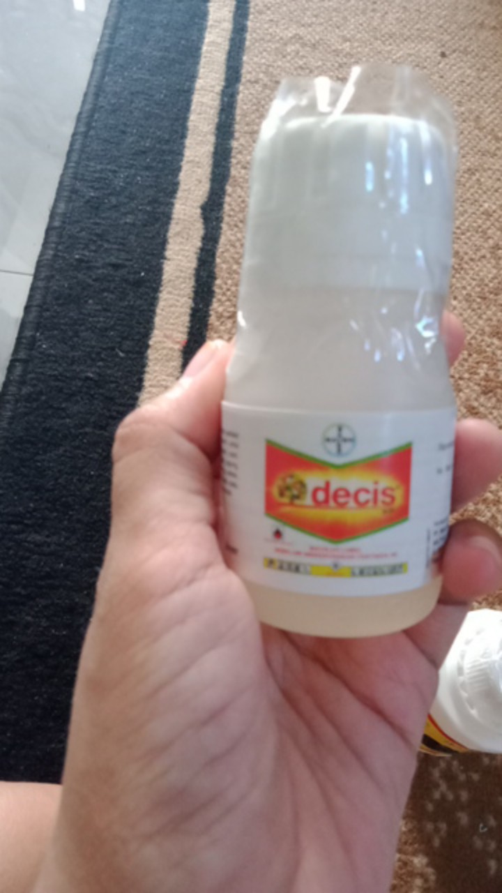 Decis 25ec Insektisida / Pembasmi Hama, Ulat, Belalang - 50ml