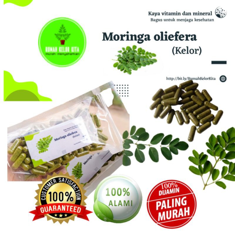 KELORINA  KAPSUL HERBAL SEGALA PENYAKIT  CURAH DAUN KELOR (MORINGA OLEIFERA ) ISI 50 biji 100% ALAMI