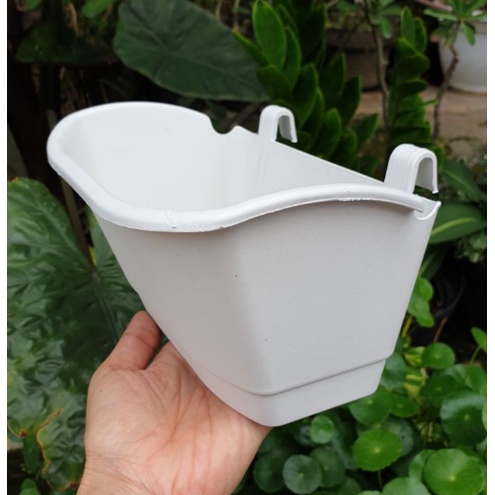 Pot CANTOL TEMPEL TIP M Putih  - Pot Dinding Tempel Manis Mini Murah Unik BERKUALITAS