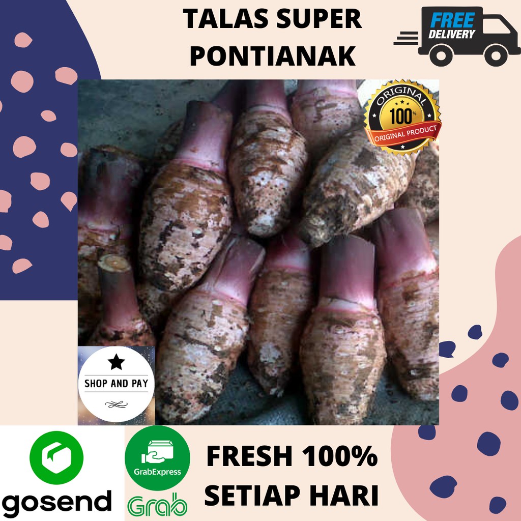 

Talas Super Pontianak Kalimantan Keladi Pulen Legit Fresh