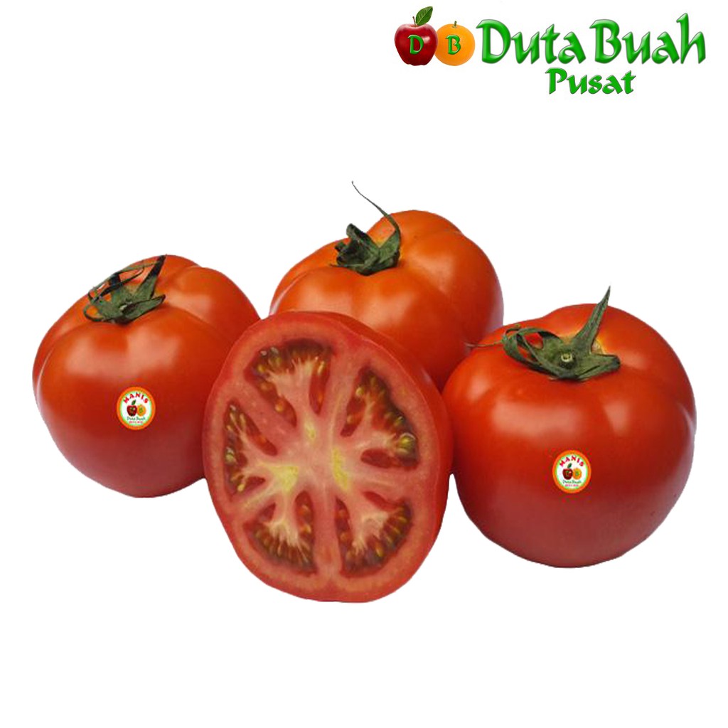 

DUTA BUAH Tomat Recento