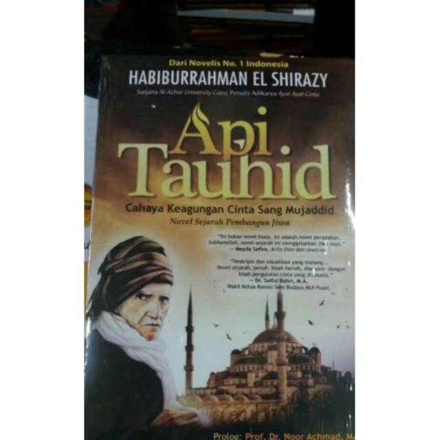  Buku Novel Remaja  Best Seller API TAUHID HABIBURRAHMAN 