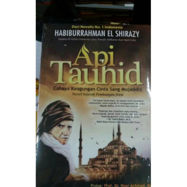 Buku Novel Remaja Best Seller API TAUHID HABIBURRAHMAN Buku Novel Remaja Best Seller API TAUHID HABIBURRAHMAN