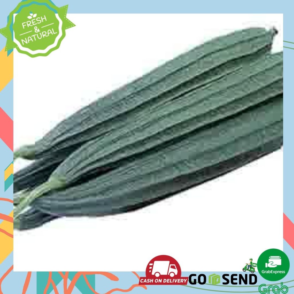 Gambas / oyong 250gram - 1000gram