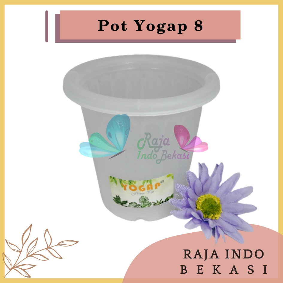 Rajaindobekasi Pot Yogap 8 Bening Pot Yogap 10 13 15 17 18 19 25 30 Pot Yogap Murah