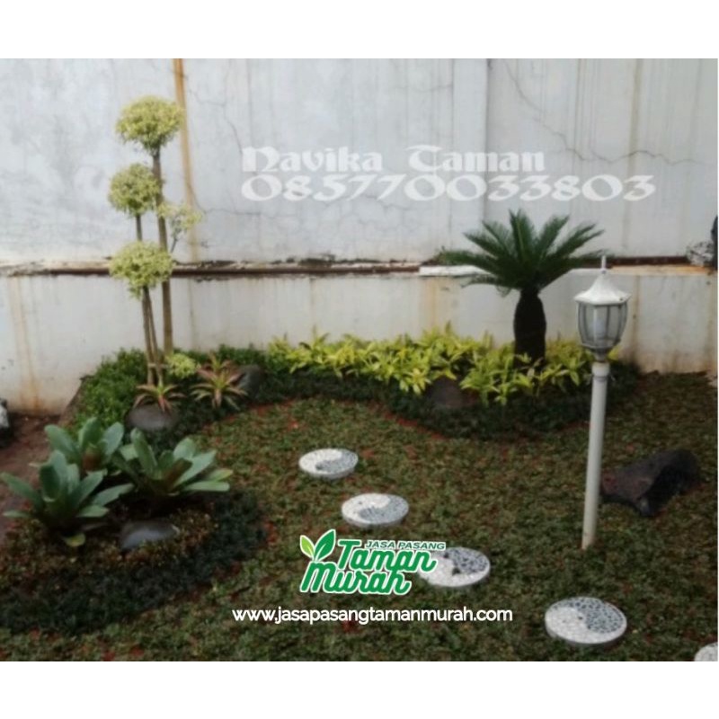 Tukang Taman Murah - Tukang Bikin Taman Tangerang