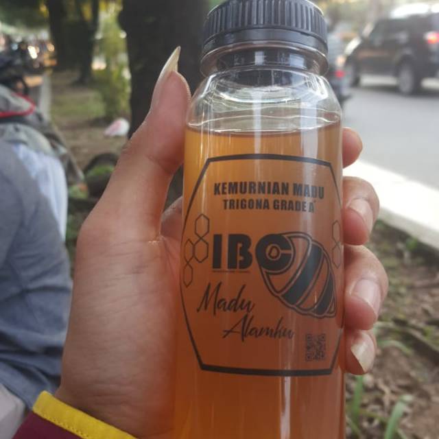 

madu trigona/klanceng