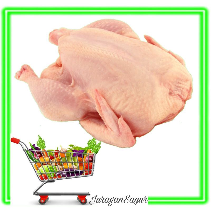 

ayam potong segar khusus kirim ke Jakarta