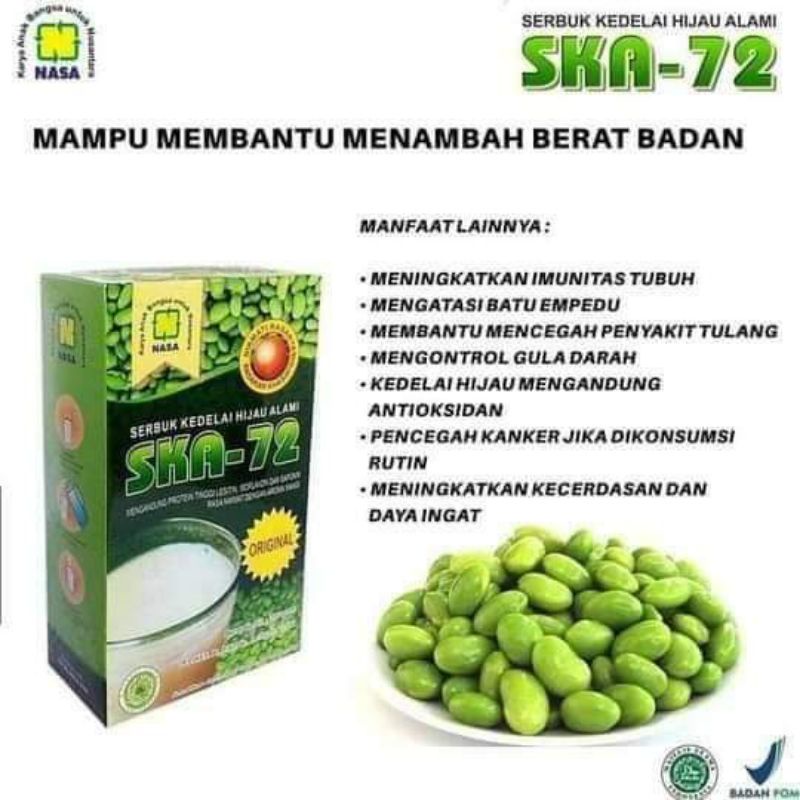 

PENGGEMUK SKAO NASA