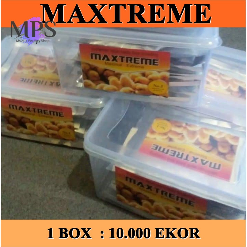 MAXTREME suplemen ayam broiler 1 box 10 saet / obat ayam broiler / maxtreme ayam broiler
