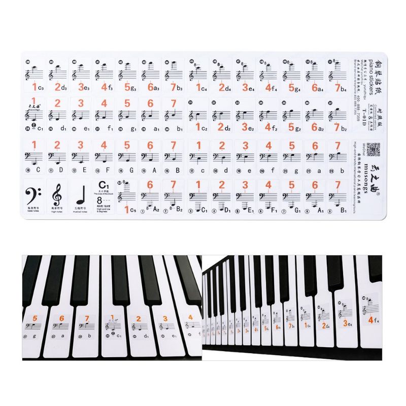 

Stiker dengan 37/49/61 Chord Transparan untuk Keyboard/Piano