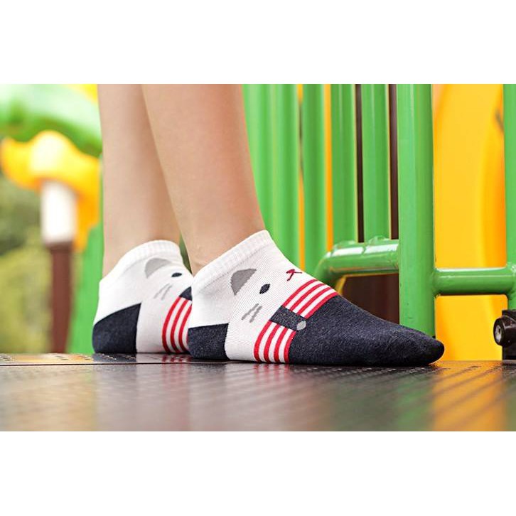 

Sock Cat White