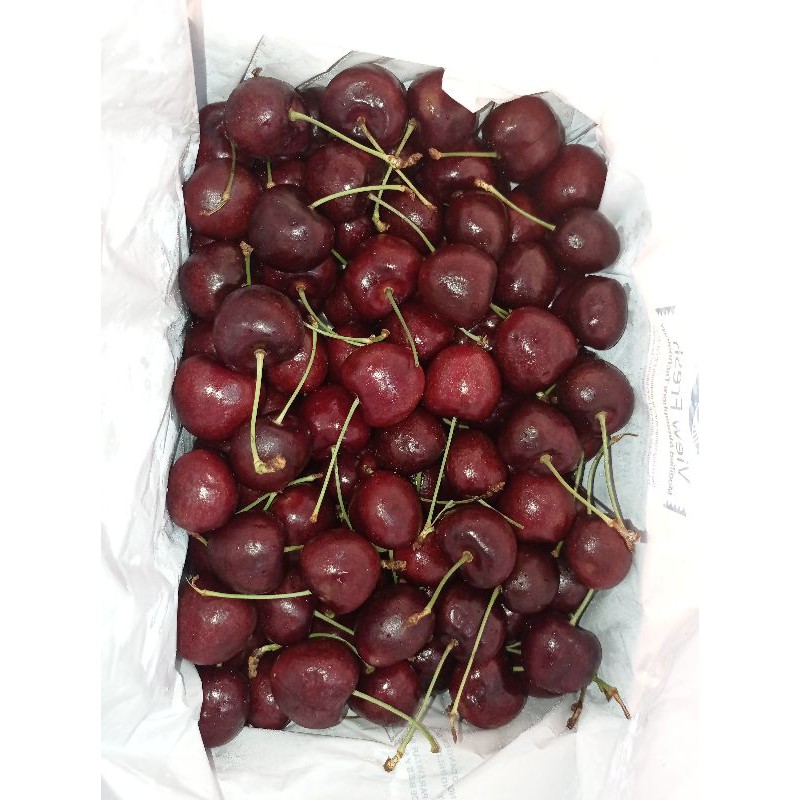 

Cherry red jumbo manis size 32-34 mm 2 kg / box