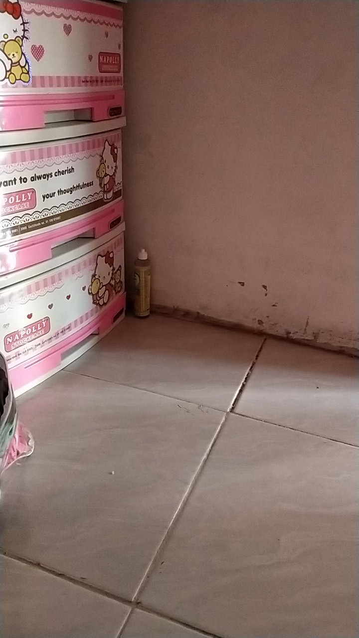 Stella Fabrik Spray Pink Peony 200+45ml