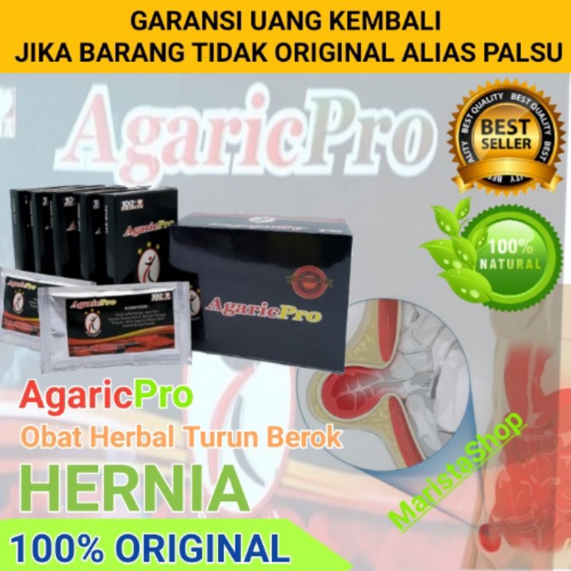 Obat Herbal Turun Berok Hernia Tradisional | AgaricPro
