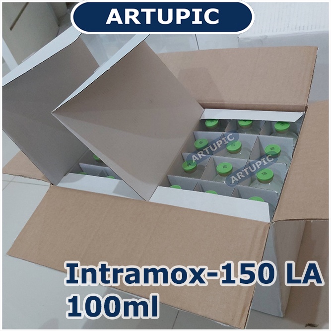 Intramox-150 LA 100 ml Amoxycillin LA Sapi Kambing Ayam Babi Domba Anjing Kucing Obat infeksi pernafasan pencernaan Antibiotik Long Acting bakterisidal Ecoli Salmonela