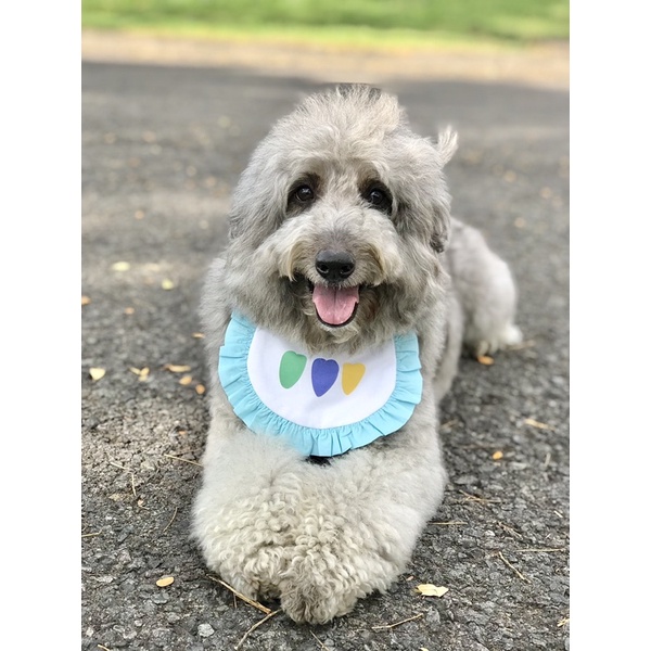 dog baby bib / bib bayi anjing / celemek anjing ( HEARTS )