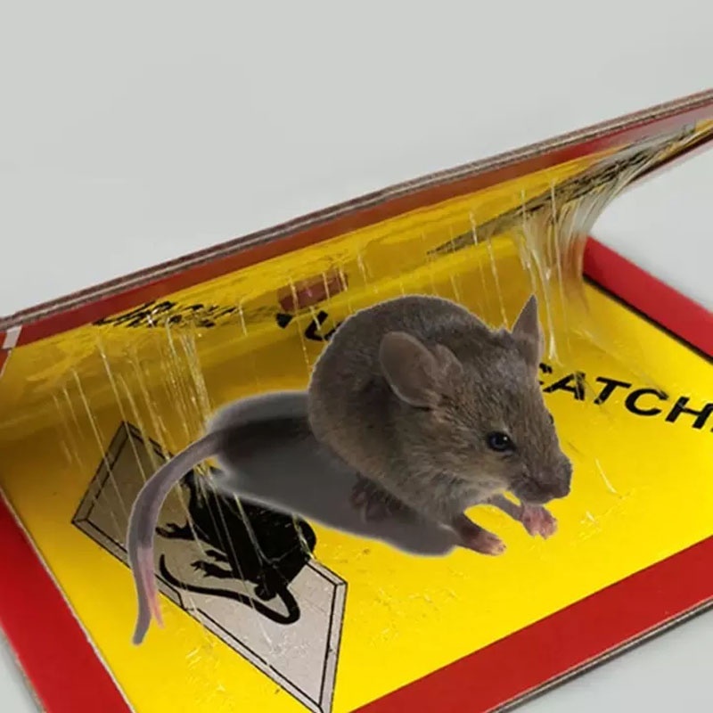 Hope Store - Lem Tikus Perangkap Tikus Mouse Rat Glue Board Racun Tikus Model Papan Tidak Berbau